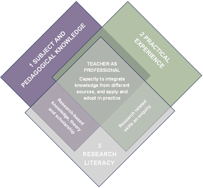 Image of the Laurus Institute model for professional teacher development.
